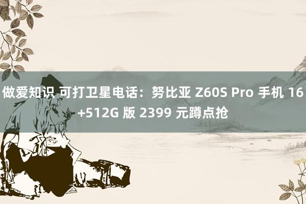 做爱知识 可打卫星电话：努比亚 Z60S Pro 手机 16+512G 版 2399 元蹲点抢