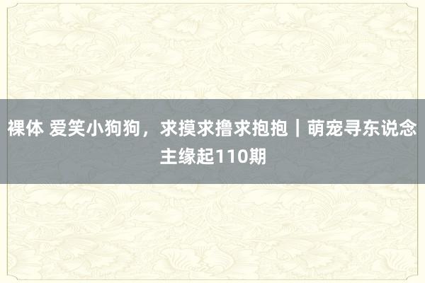 裸体 爱笑小狗狗，求摸求撸求抱抱｜萌宠寻东说念主缘起110期