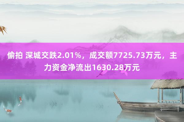 偷拍 深城交跌2.01%，成交额7725.73万元，主力资金净流出1630.28万元