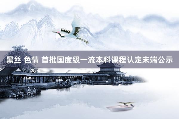 黑丝 色情 首批国度级一流本科课程认定末端公示