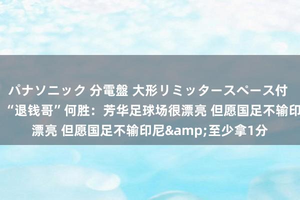パナソニック 分電盤 大形リミッタースペース付 露出・半埋込両用形 “退钱哥”何胜：芳华足球场很漂亮 但愿国足不输印尼&至少拿1分