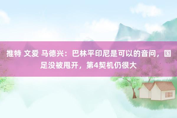 推特 文爱 马德兴：巴林平印尼是可以的音问，国足没被甩开，第4契机仍很大
