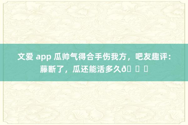 文爱 app 瓜帅气得合手伤我方，吧友趣评：藤断了，瓜还能活多久😂
